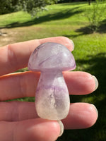 Colorful Fluorite Mushroom Carving #11