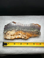 Fluorite Mixed Cube Pyrite & Acicular Slab #5