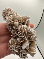 Selenite "Desert Rose," Samalayuka Desert, Chihuahua, Mexico #3