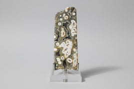8th Vein Ocean Jasper Polished Free Form #7