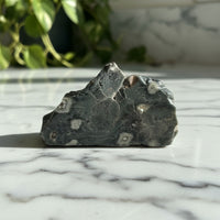 6th Vein Ocean Jasper Polished Freeform #55