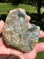 8th Vein Ocean Jasper Slab #128