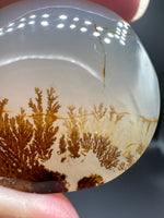 Designer Dendritic Agate Cabochon #2