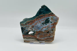 8th Vein Ocean Jasper Slab #4