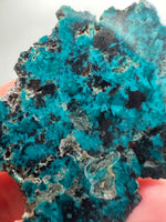 Chrysocolla, Shattuckite, Sonora, Mexico