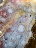 8th Vein Ocean Jasper Slab #48