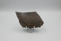 Nevada Picture Jasper Slab #2 - Old Stock