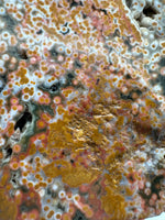 8th Vein Ocean Jasper Slab #24