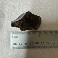 Raw Amber Specimen #11