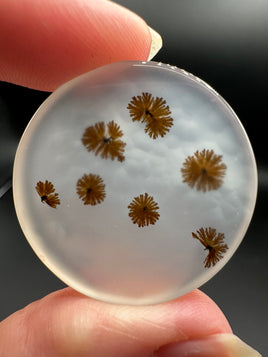 Scenic Dendritic Agate Cabochon #3