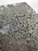 Free Form Pyrite Flowers Symbiosis Mixed Agate Slab #3