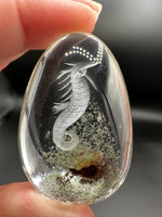 Beautiful Seahorse Garden Quartz Inner Scene Carving #5