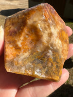 Savannah River Agate Specimen 1e