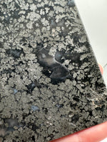 Free Form Pyrite Flowers Symbiosis Mixed Agate Slab #2