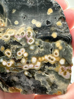 8th Vein Ocean Jasper Slab #33