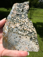 8th Vein Ocean Jasper Slab #101