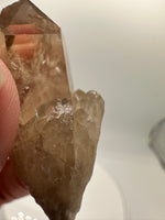 Natural Citrine Cathedral Crystal (Congo) – Kundalini Lightbrary Specimen #2