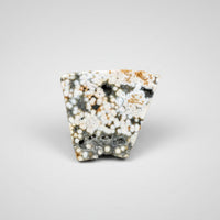 Ocean Jasper Free-form #7