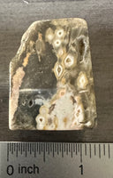 8th Vein Ocean Jasper Polished Free Form #10