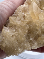 Calcite, Mumbai, Maharashtra, India