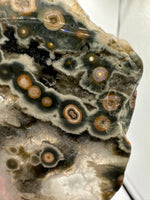 8th Vein Ocean Jasper Slab #38