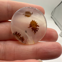 Scenic Dendritic Agate Cabochon #7