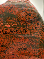 8th Vein Ocean Jasper Slab #7