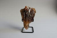 Natural Amber Calcite Raw Specimen UV Reactive #4