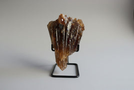Natural Amber Calcite Raw Specimen UV Reactive #4