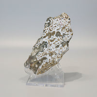 8th Vein Ocean Jasper Slab #90