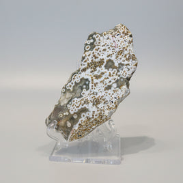 8th Vein Ocean Jasper Slab #90