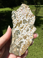 8th Vein Ocean Jasper Slab #90