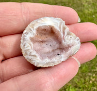 Oco Geode from Mexico #2