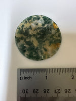 Moss Agate Polished Round Slice #21