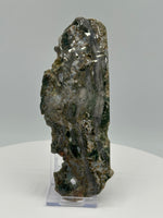 8th Vein Ocean Jasper Slab #31