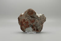 8th Vein Ocean Jasper Slab #12