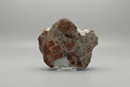 8th Vein Ocean Jasper Slab #12