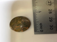 Rainforest Jasper (Rhyolite) Cabochon #3