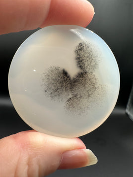 Designer Dendritic Agate Cabochon #1