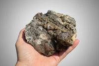Quartz, Elestial Garden, Lodolite, Jacare, Brazil