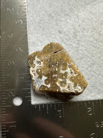 Ocean Jasper Free-form #11