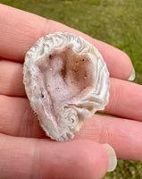 Oco Geode from Mexico #2