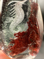 Beautiful Seahorse Garden Quartz Inner Scene Carving #8