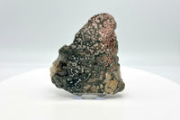 8th Vein Ocean Jasper Slab #21