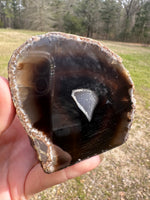 Polished Front Agate Geode #2