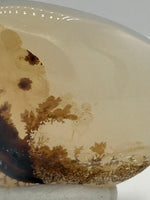 Designer Dendritic Agate Cabochon #6