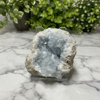 Celestite Cluster Specimen #11