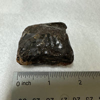 Raw Amber Specimen #15