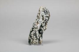 8th Vein Ocean Jasper Slab #34