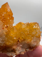 Sunshine Spirit Cactus, Golden Healer Quartz Cluster, South Africa #2